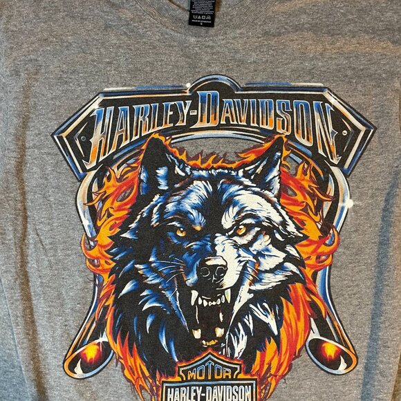 Harley Davidson Southern Devil Tee Shirt Men Small Gray Graphic Motorcycle Biker - Picture 2 of 6